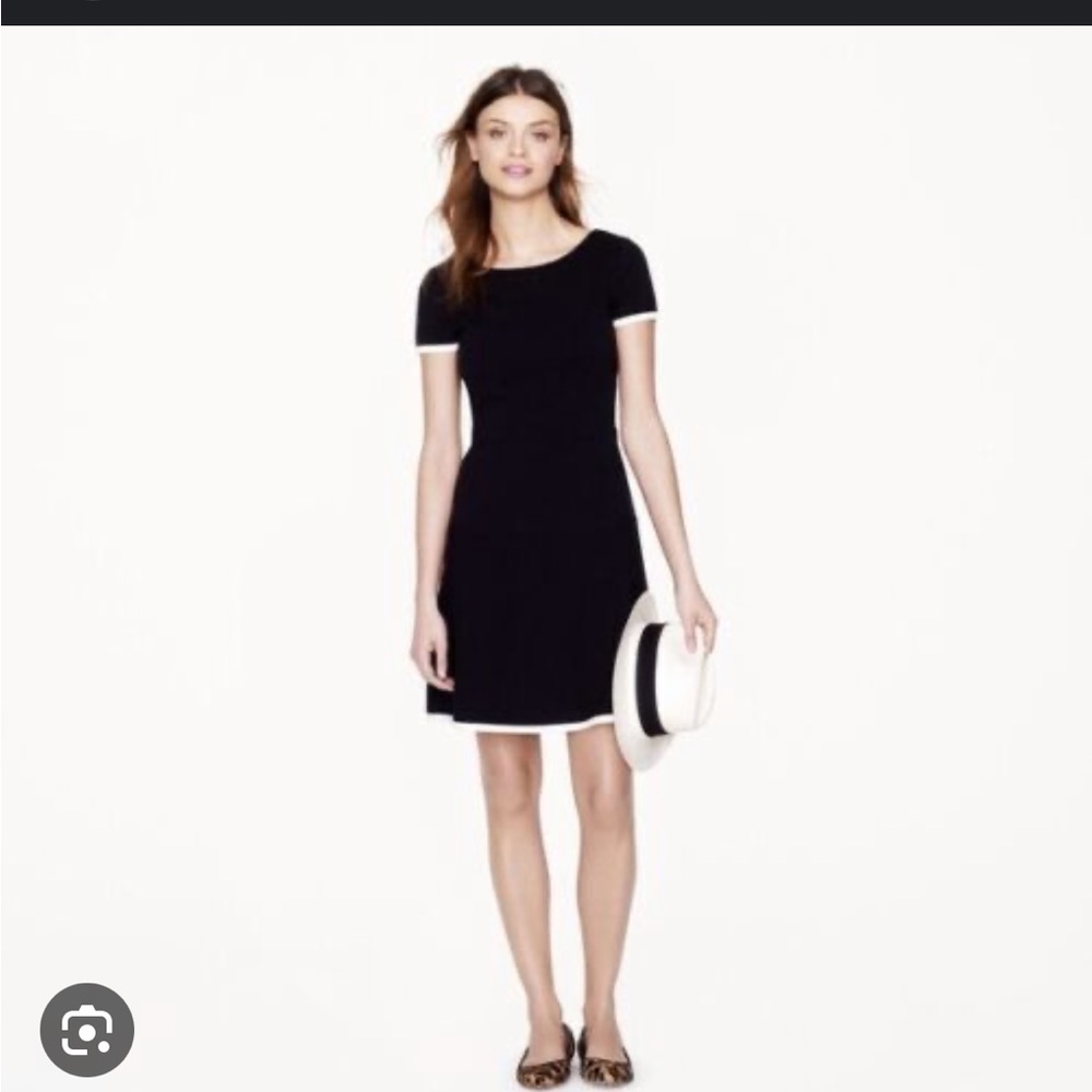 J. Crew Dress